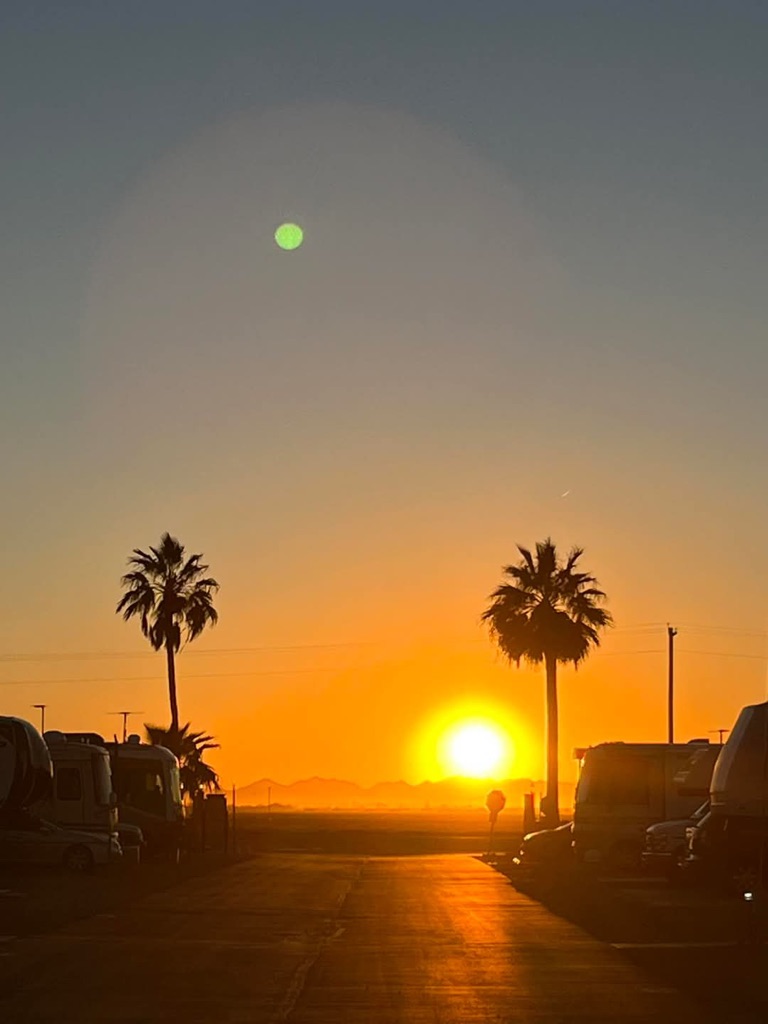 A beautiful park sunset