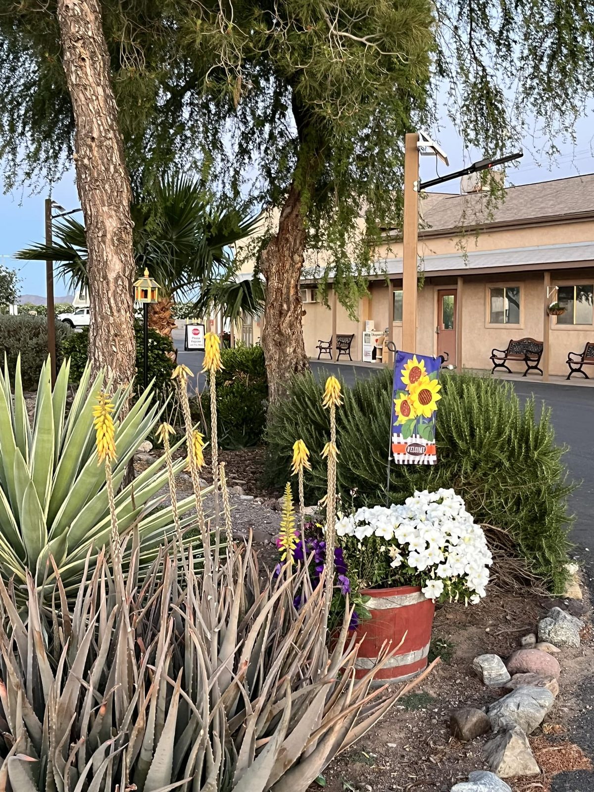 Clubhouse in spring
