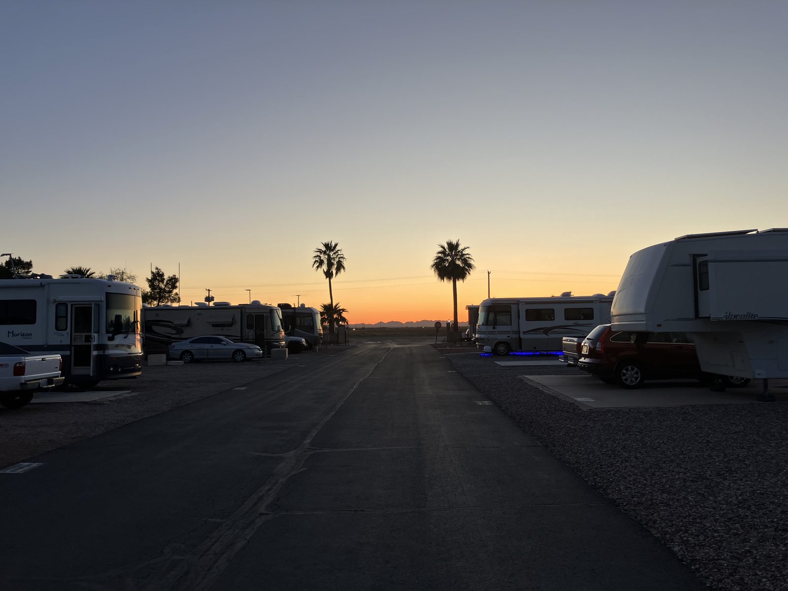 Sonoran desert landscape