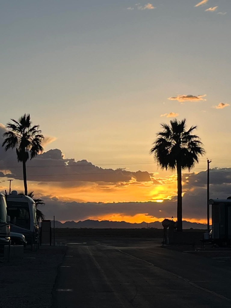 Sunset over the park