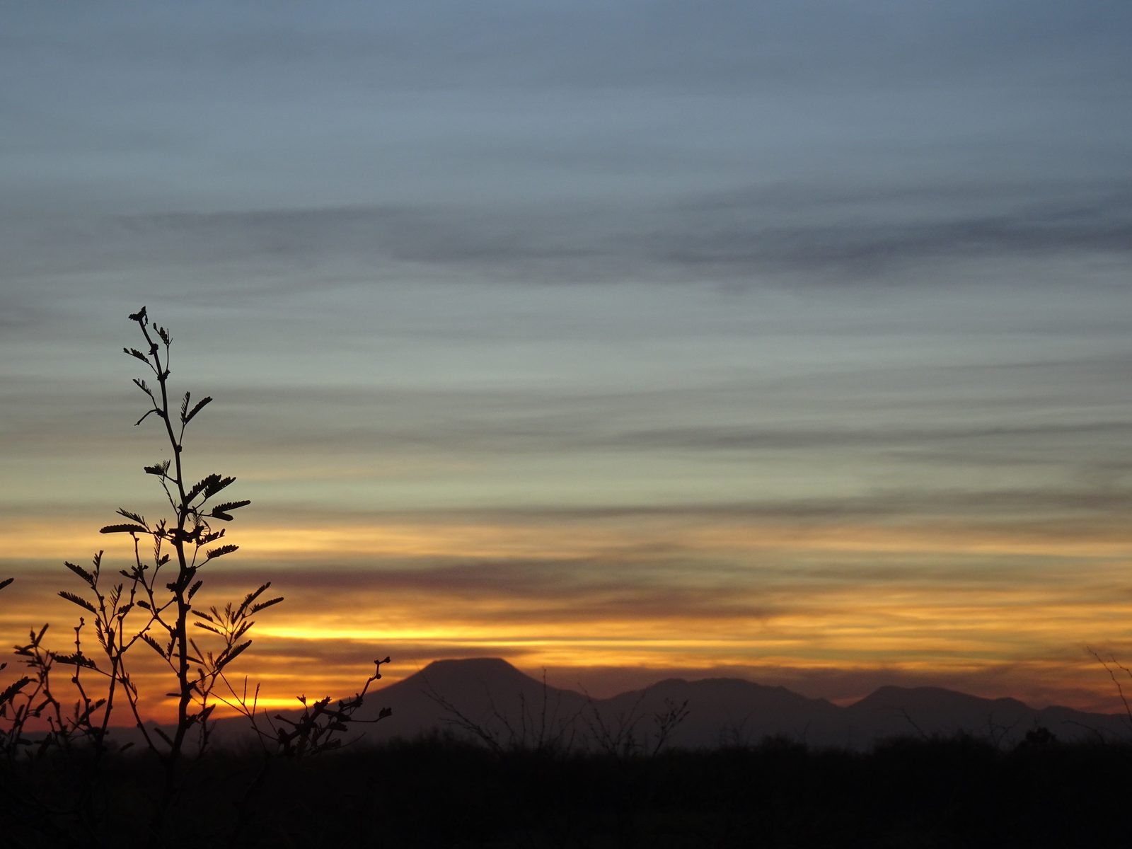 Sunset over the grass