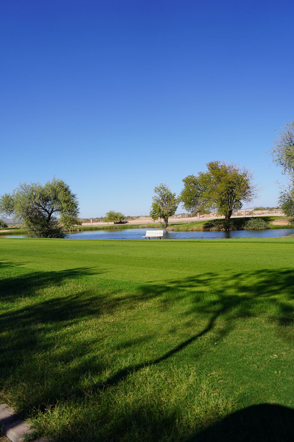 Dave White Golf Course